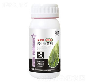 ƿ�b���S������΢�������-ʥ���r-��ʥ�r�I(y��)