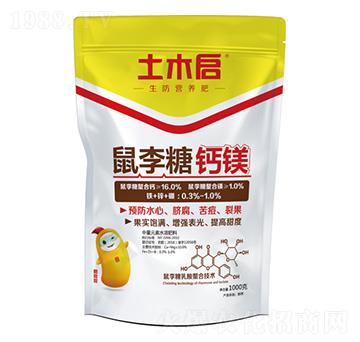 �������}�V ��ľ������