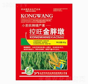 �������ֶ�-�A������