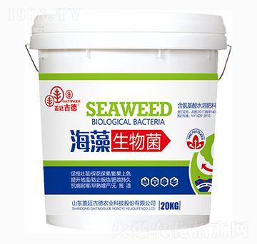 ���������-�_(k��i)��(y��u)�r(n��ng)�I(y��)