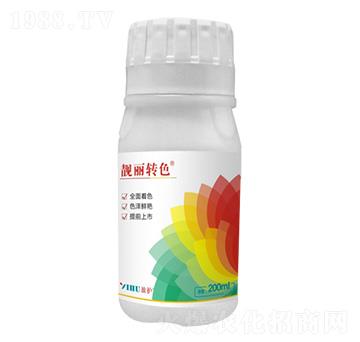 �n���D(zhu��n)ɫ ��ӯ