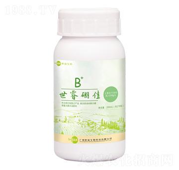 �ߝ��Һ�w�ۺ���-���B+-�������