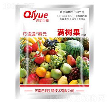 滿樹(shù)果（袋） 巧特