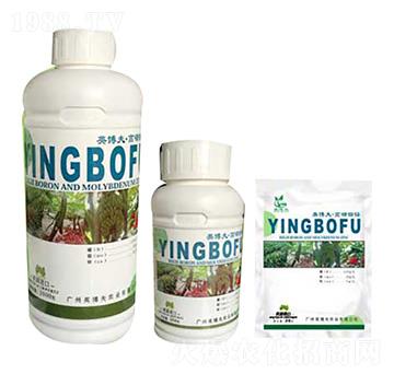 �����f�\ Ӣ����