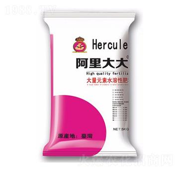 大量元素水溶肥料-阿里大大-大華墾