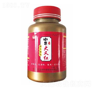 中正大又紅-大華墾