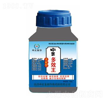 中正多效王-大華墾