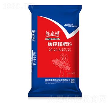 ����ጷ���20-20-6-ʩ̩��