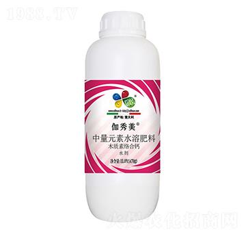 ľ�|(zh��)�ؽj���}-������-��T����