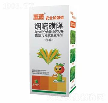 ��������݄�-��t-ؐ����