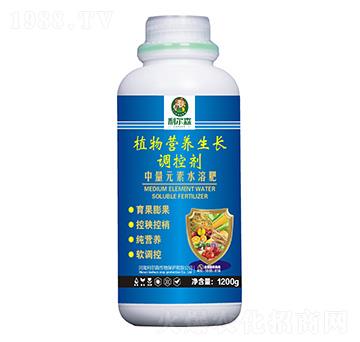 ֲ��I(y��ng)�B(y��ng)���L(zh��ng)�{(di��o)�؄�-����ɭ