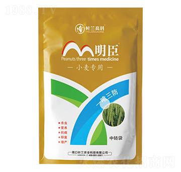 С����(zhu��n)���ײ�-����-�~�m�߿�