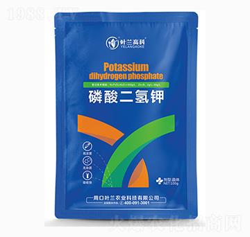 ��������-�~�m�߿�