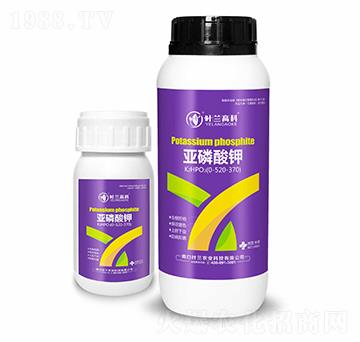 �������-�~�m�߿�