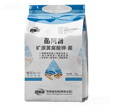 �VԴ�S����⛡���-�簢��-��˹�Z