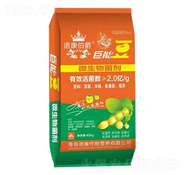 微生物菌劑-巨能豆-青島諾康