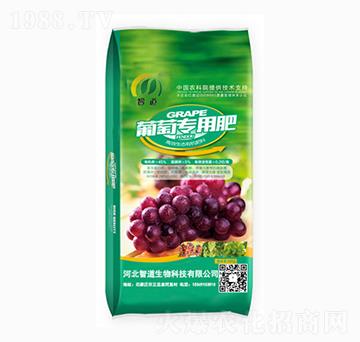 ���ь��÷�-�ǵ�