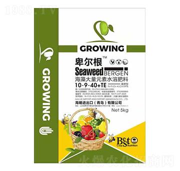 �������Ԫ��ˮ�ܷ���10-9-40+TE-������-����