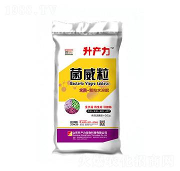 含菌顆粒水溶肥-菌威粒-升產(chǎn)力