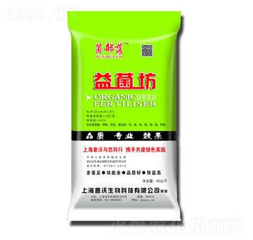 �����-��������