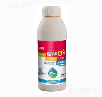 ����5̖(h��o)-���󻯹�