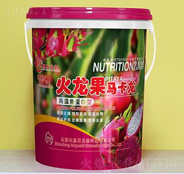 �����~(y��)������-�������R����-ľ�~(y��)ʯ����