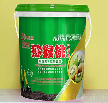 �ך����S�������-�J�����R����-ľ�~(y��)ʯ����