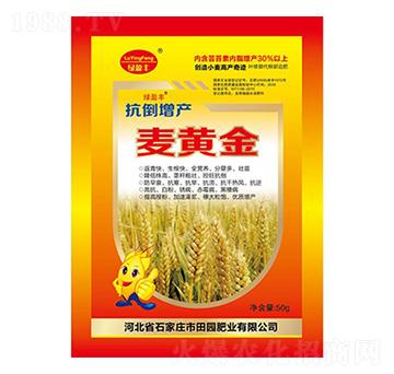 麥黃金-田園肥業(yè)