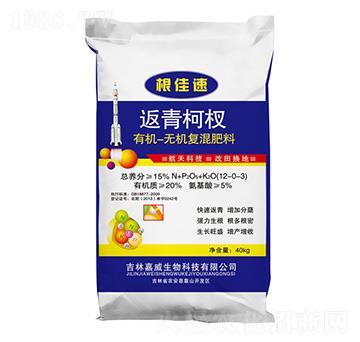 �������ЙC(j��)�o�C(j��)��(f��)�����-������-�߿���