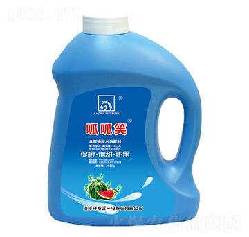 ����Ц��Ͱ��-һ�R���B(t��i)