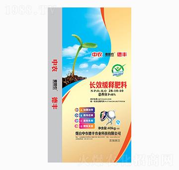 �LЧ��ጷ���28-10-10-���P�r-���r���S