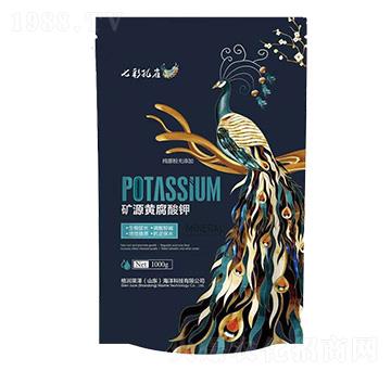 �VԴ�S�����-�߲ʿ�ȸ-��(r��n)�R��