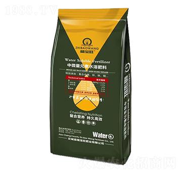 ��΢��Ԫ��ˮ�ܷ���-ֲ����