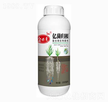 ��(f��)��΢�������-�|���w��-��؁�