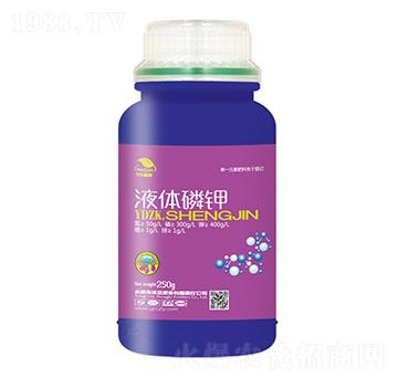 Һ�w���-ʥ��ʘI(y��)