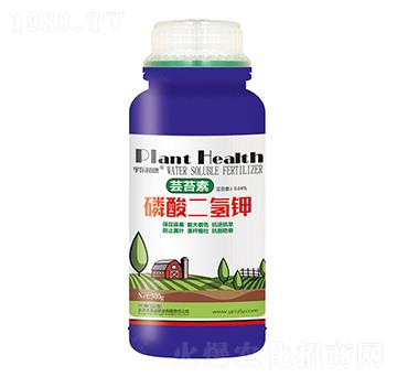 �|̦����������-ʥ��ʘI(y��)