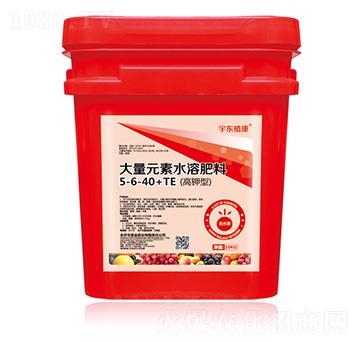 ����ʹ���Ԫ��ˮ�ܷ���5-6-40+TE-ʥ��ʘI(y��)