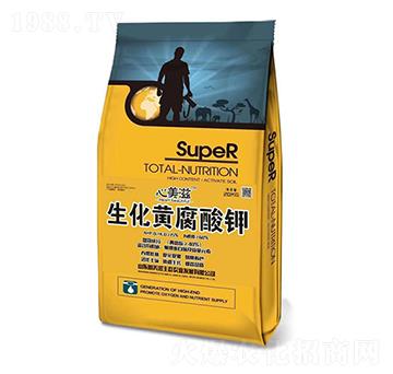 �����S�����-������