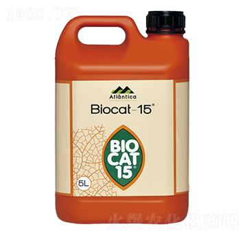 �M������̼���-����Ƽ�