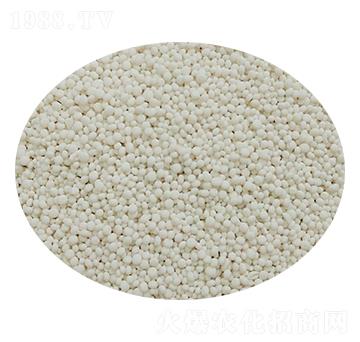 ��������-��׿����