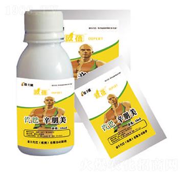 ������-������-�����r(n��ng)�I(y��)