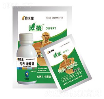 �Ǵ���-������-�����r�I(y��)