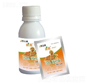 ������-������-�����r(n��ng)�I(y��)