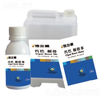 ������-������-�����r(n��ng)�I(y��)