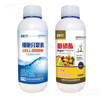 ��(x��)��������+������-�����Ƽ�