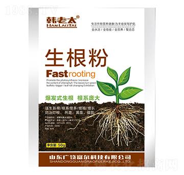 ������-�n��̫-�����Ƽ�