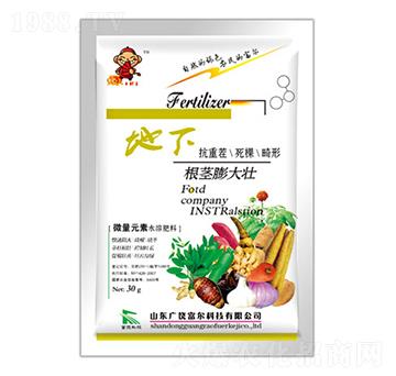 ���¸��o����-�����Ƽ�