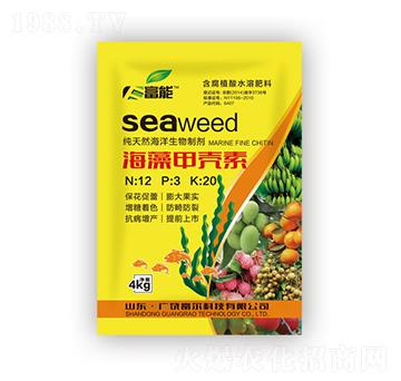 ����ך���-�����Ƽ�