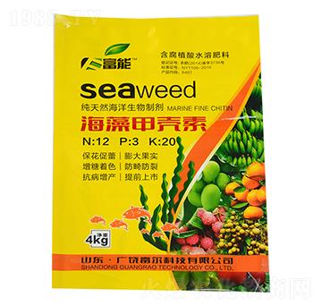 ����ך���-����-�����Ƽ�