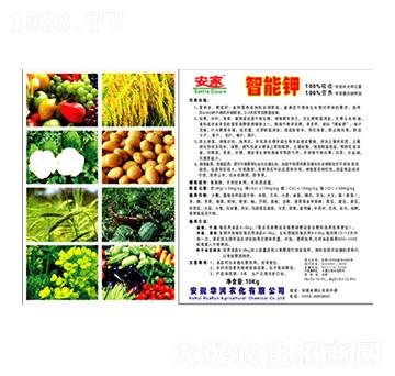 �����-�A���r��